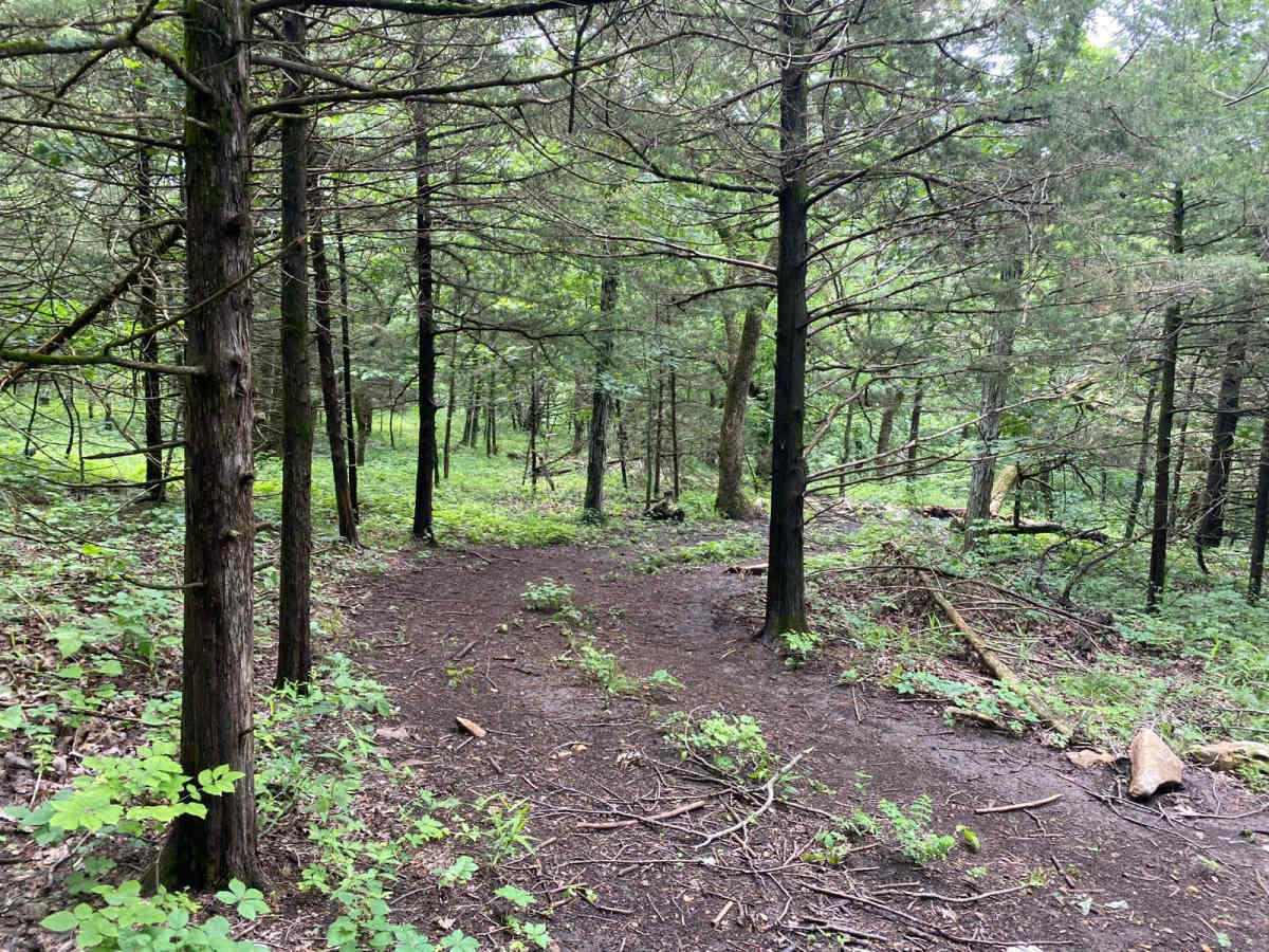 SOL trail photo