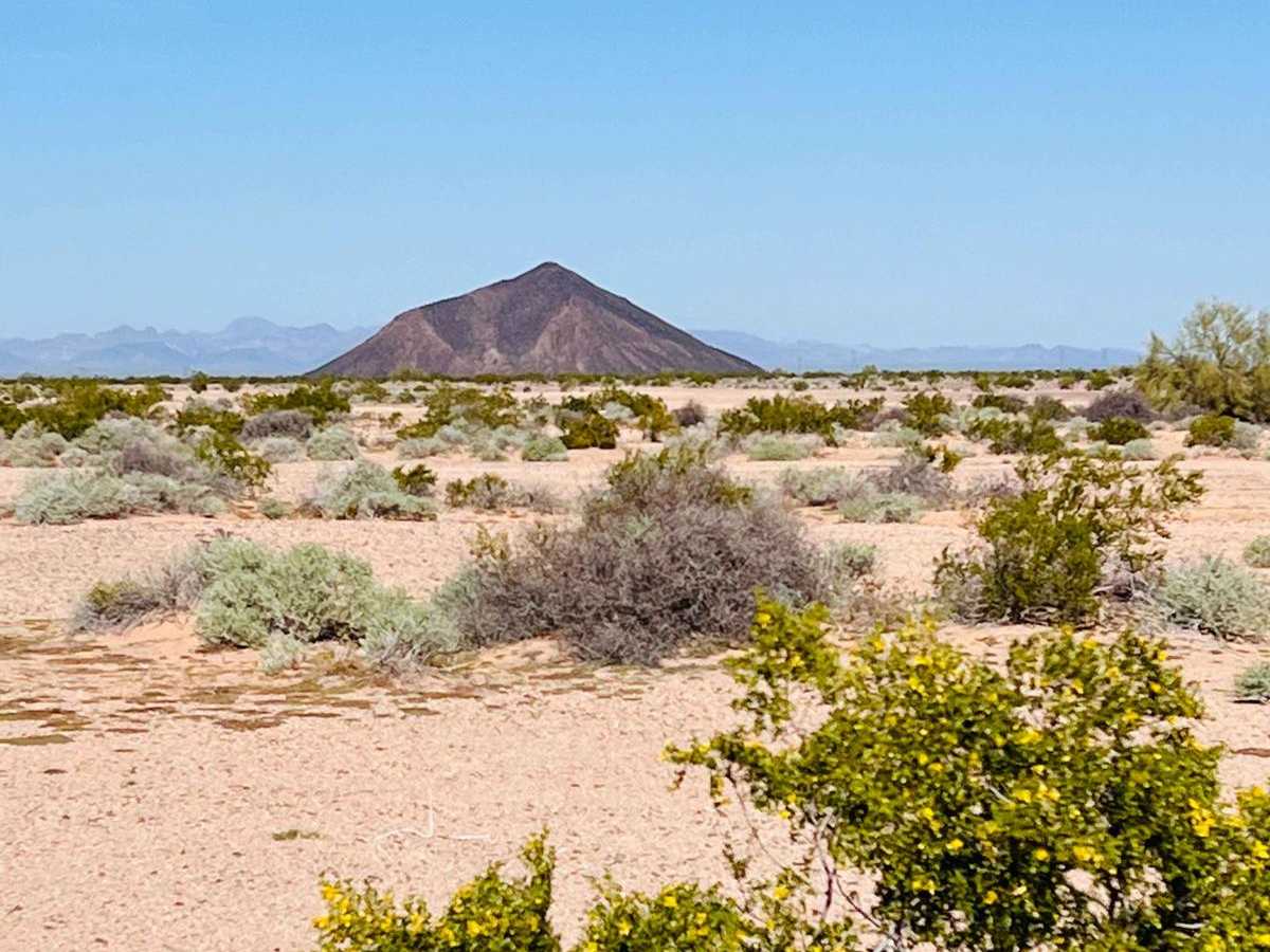 El Camino Del Sol to Dateland Hidden Canyon photo 6