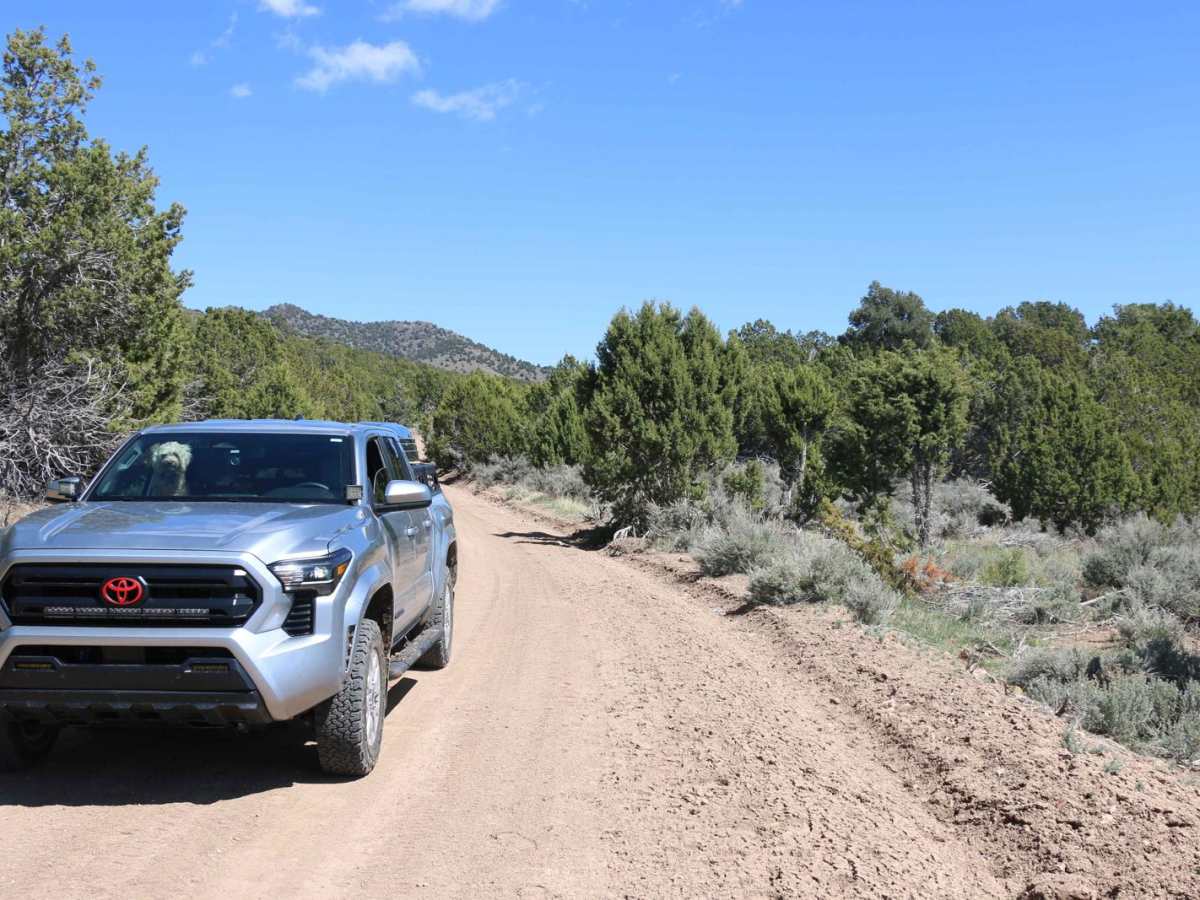 Silver Pass Road trail photo