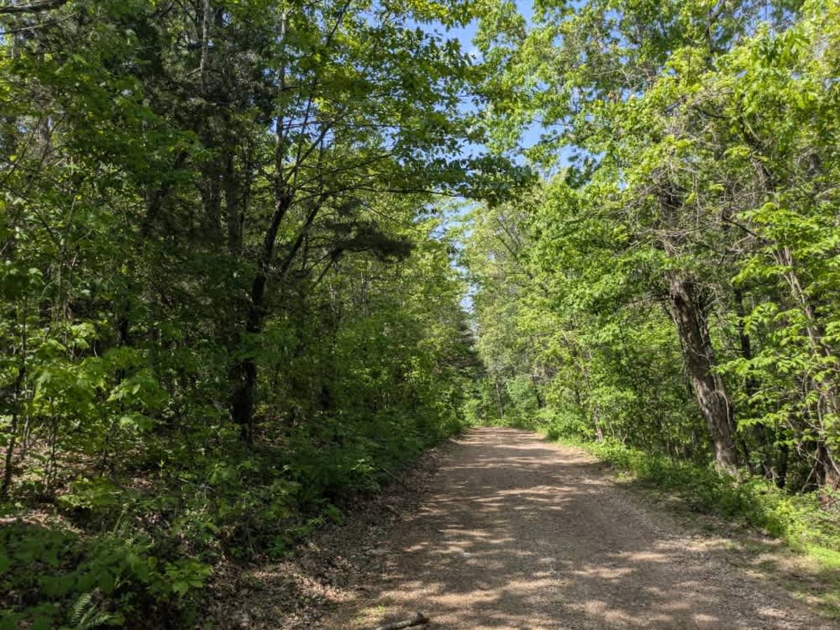 Brush Creek trail photo