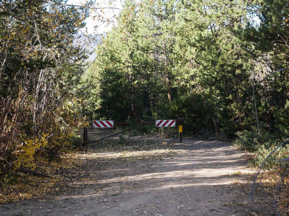 No See Um ATV Trail photo 5