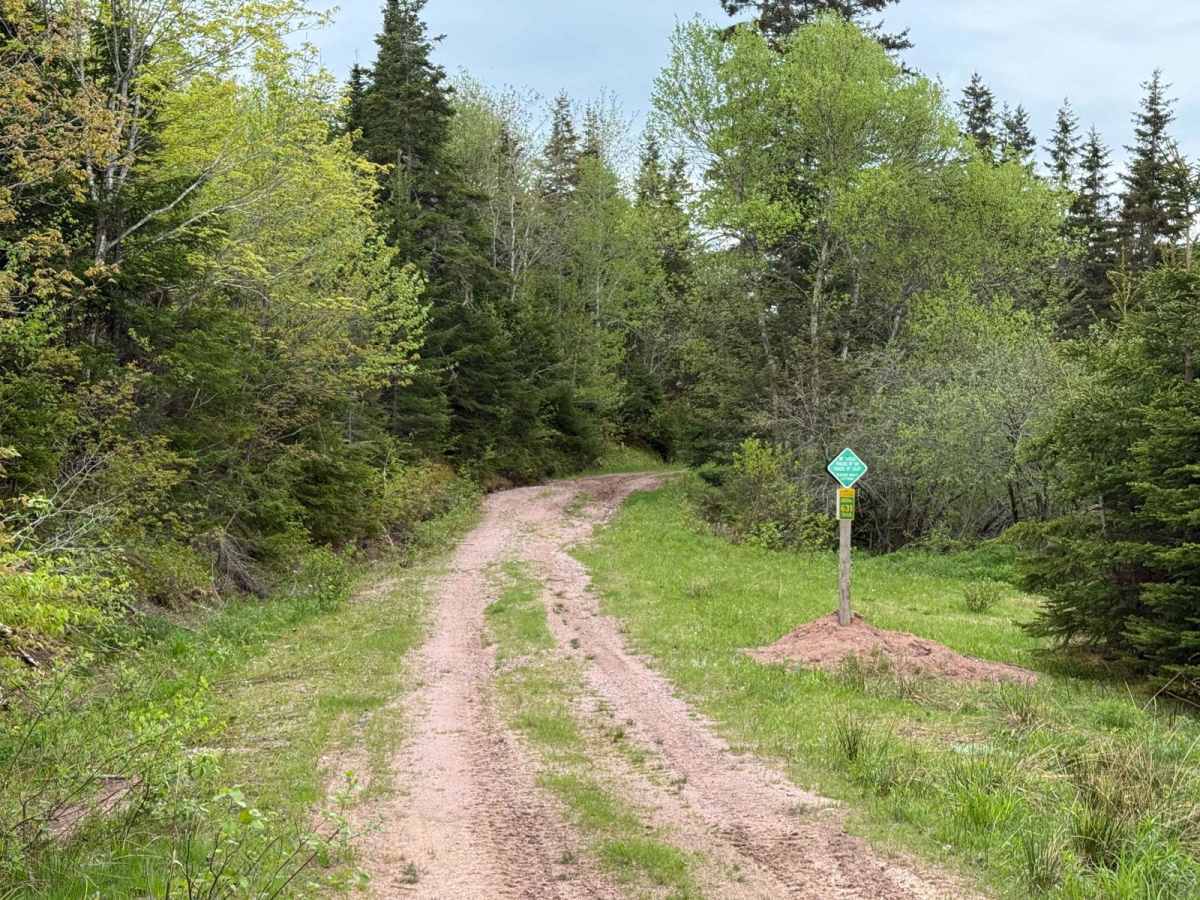Pipers Glen Road photo 6