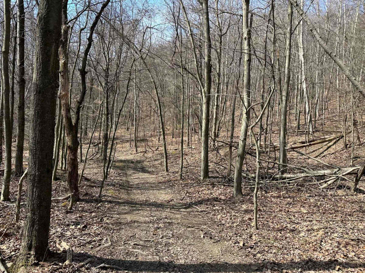 Locust Gap 72 trail photo