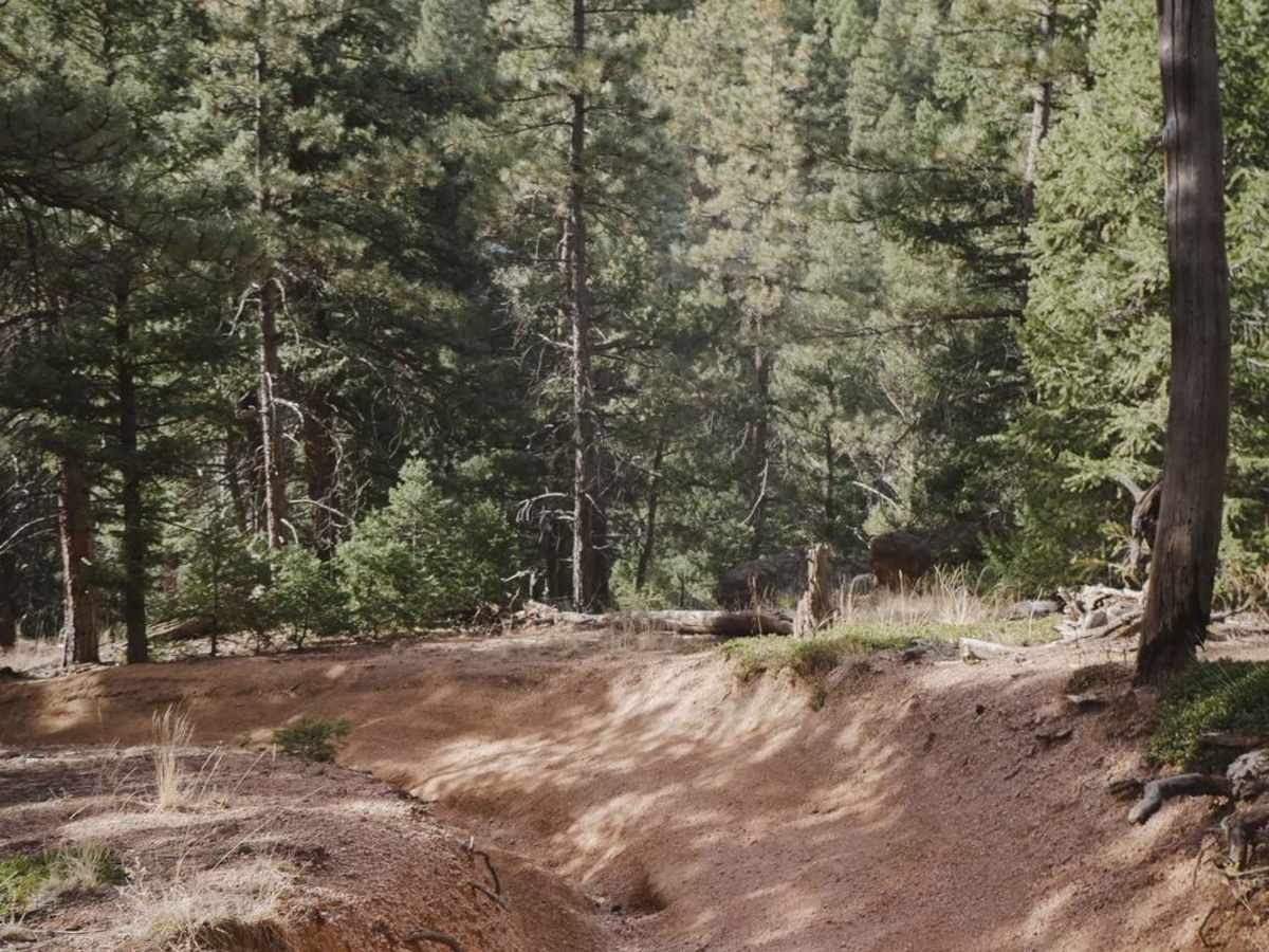 657 Gramps ATV Trail photo 3