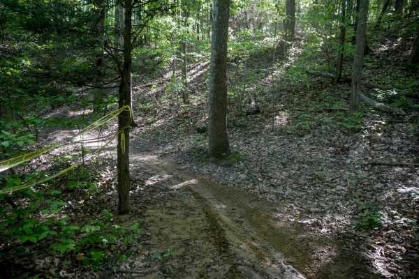 Single Track 2