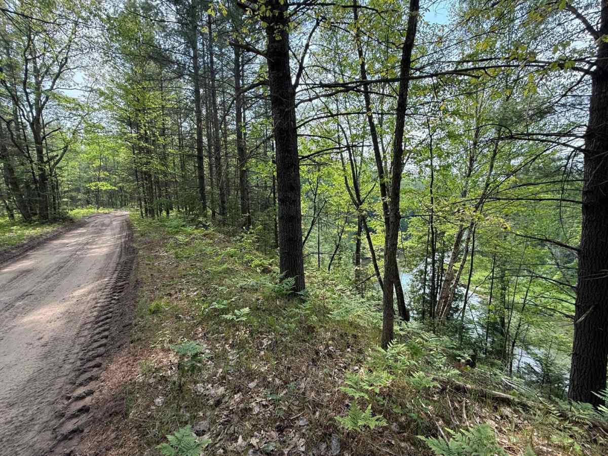Manistee RXR River Trail photo 4