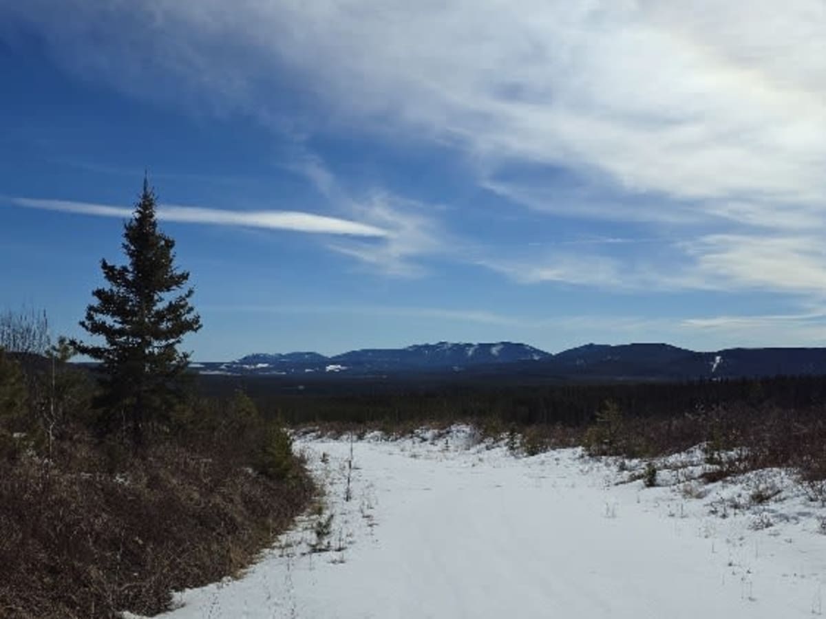 3150 Trail photo 3