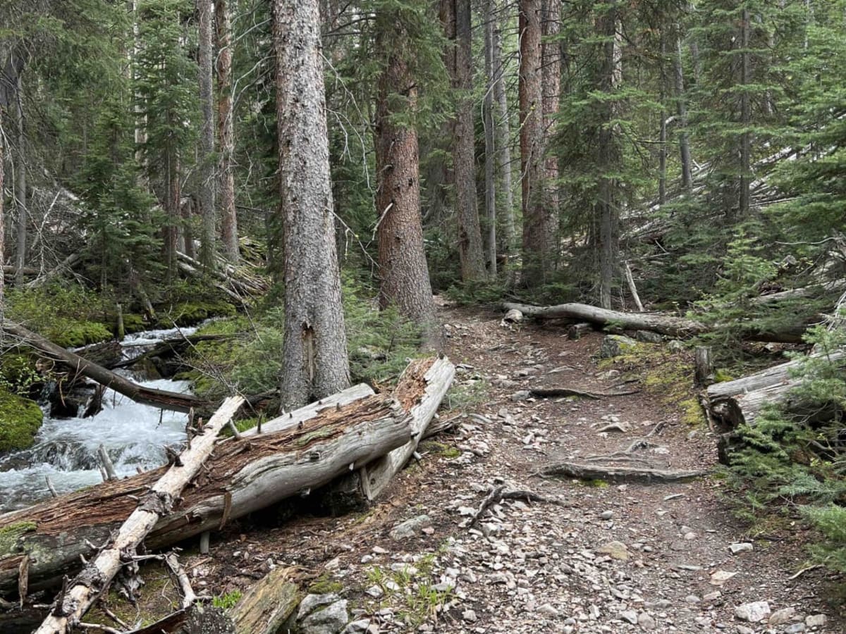 Middle Fork Little Timber Creek photo 3