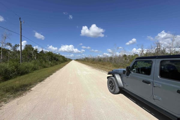 Birdon Road - CR 841