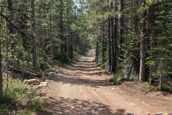 Forest Service Road 50329 (FSR 329/Willow Creek Road