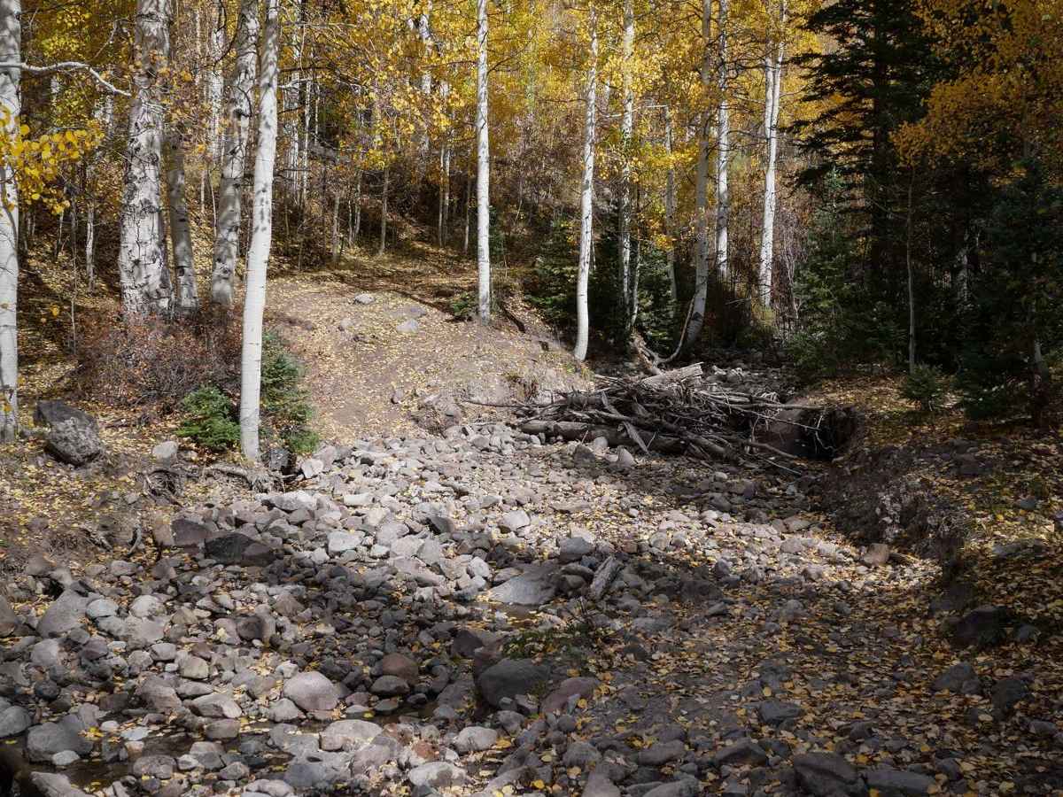 Stealey Mountain ATV photo 2