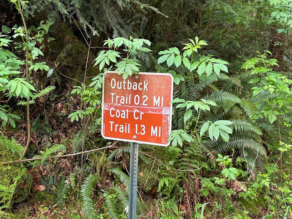 Coal Creek photo 2