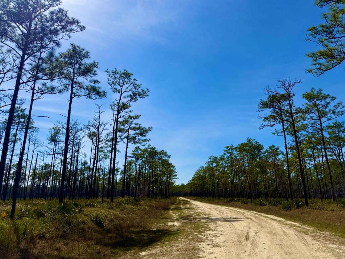 Lost Road 352 photo 3