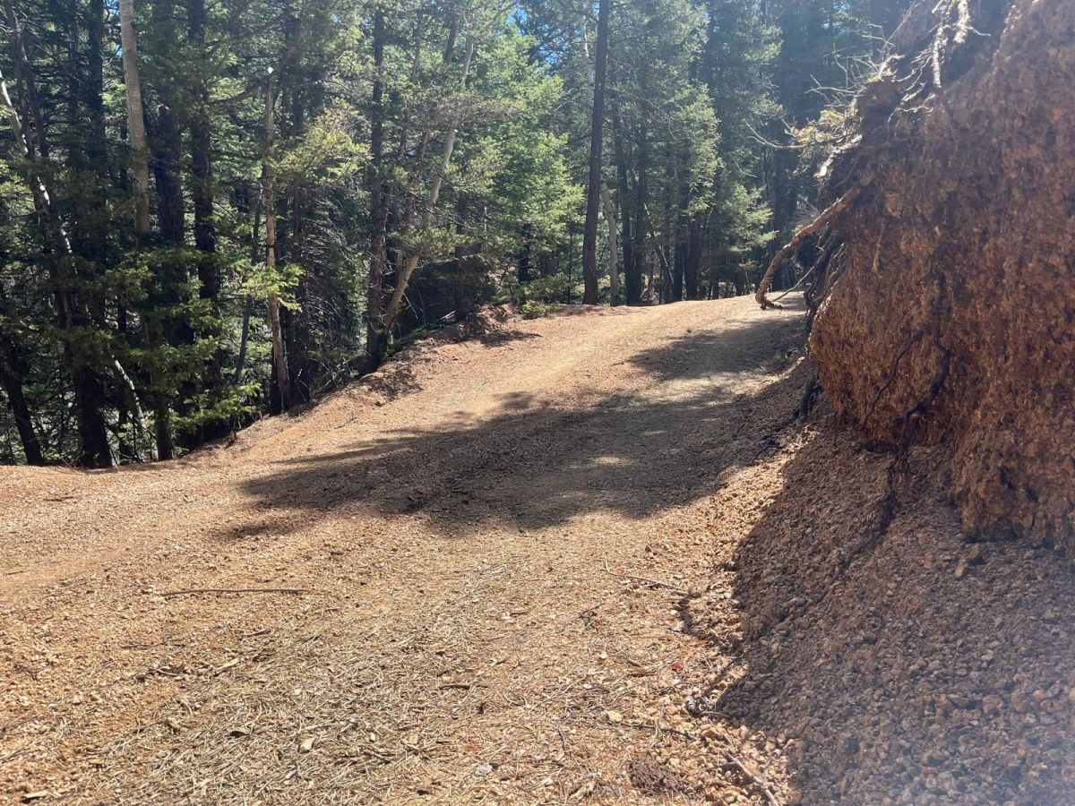 Ensign Gulch Road FR 314 photo 5