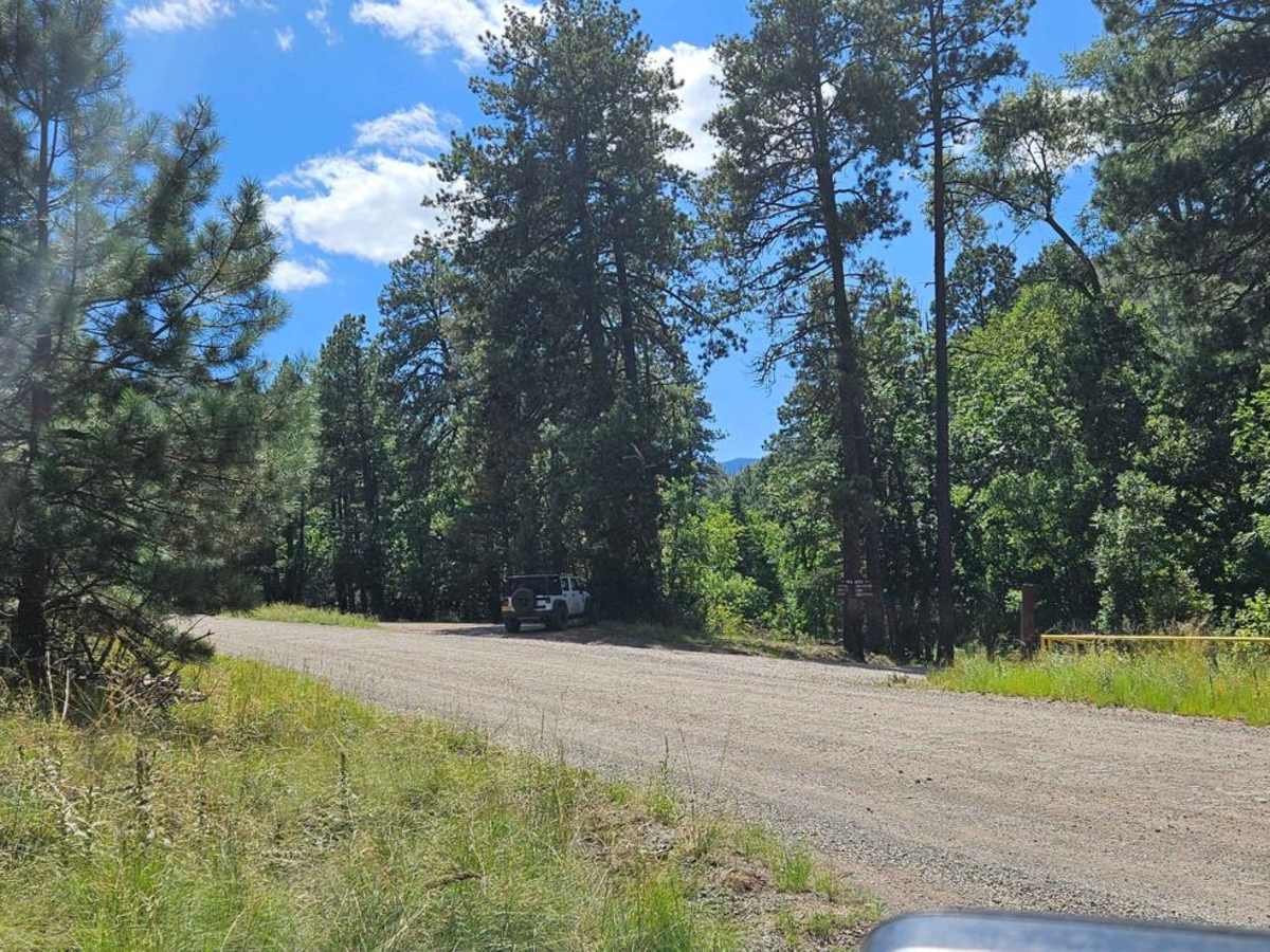 Bonita Lake South Fork Road photo 3