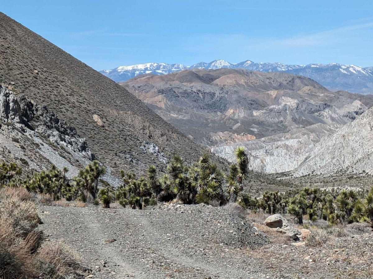 Willow Creek Road to Pigeon Springs photo 4