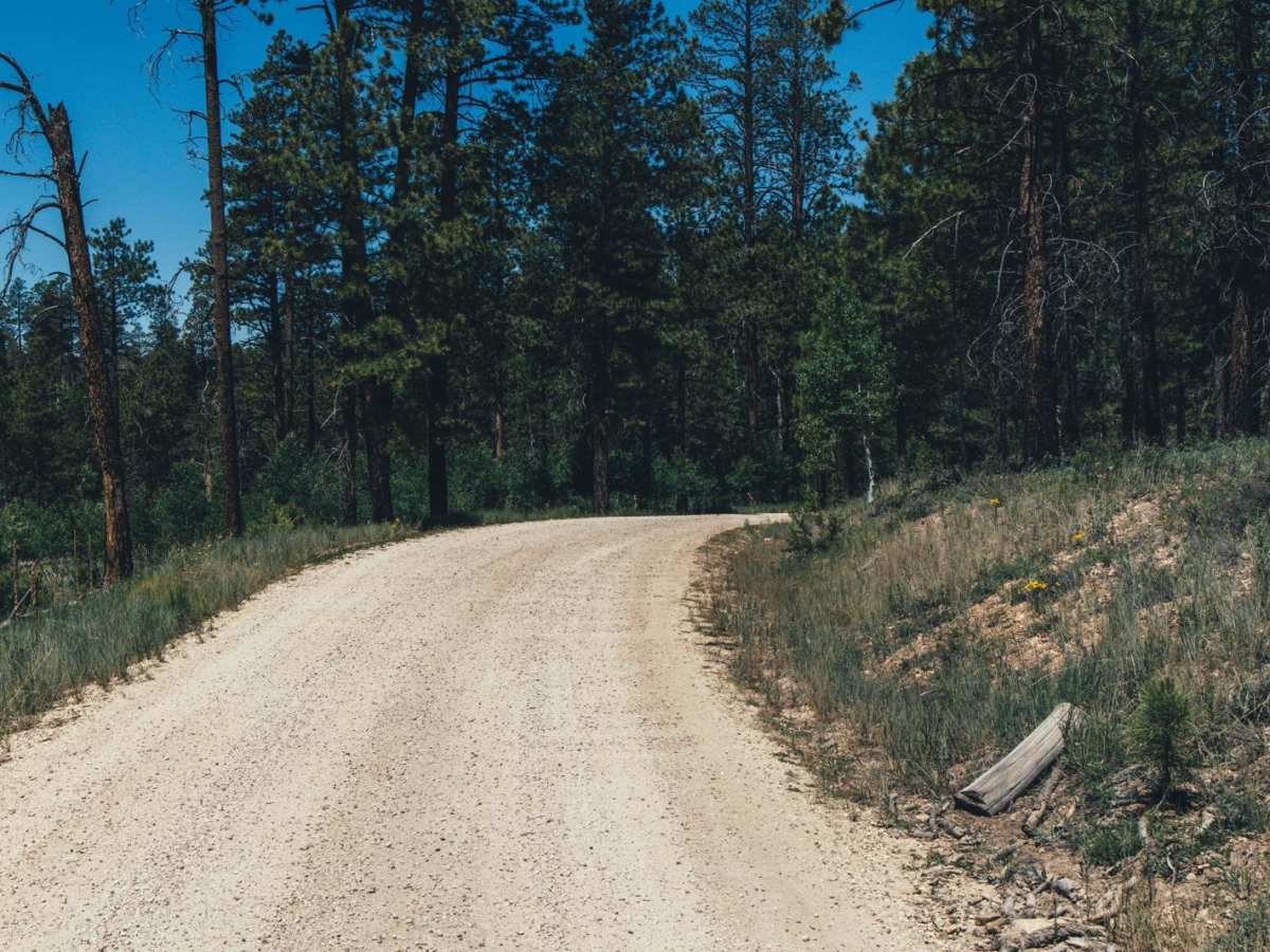Corral Lake photo 4