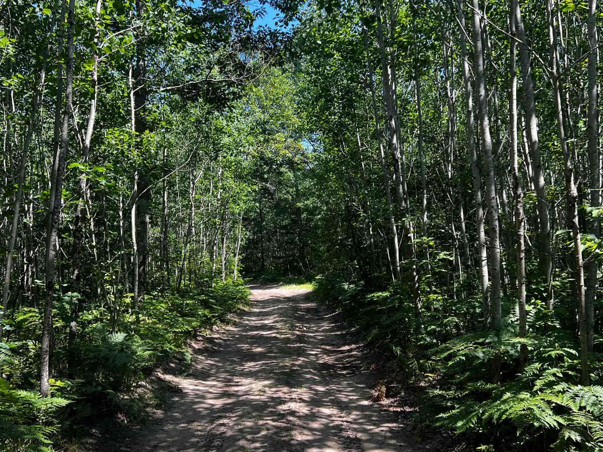 Pinewood Connector Trail photo 3
