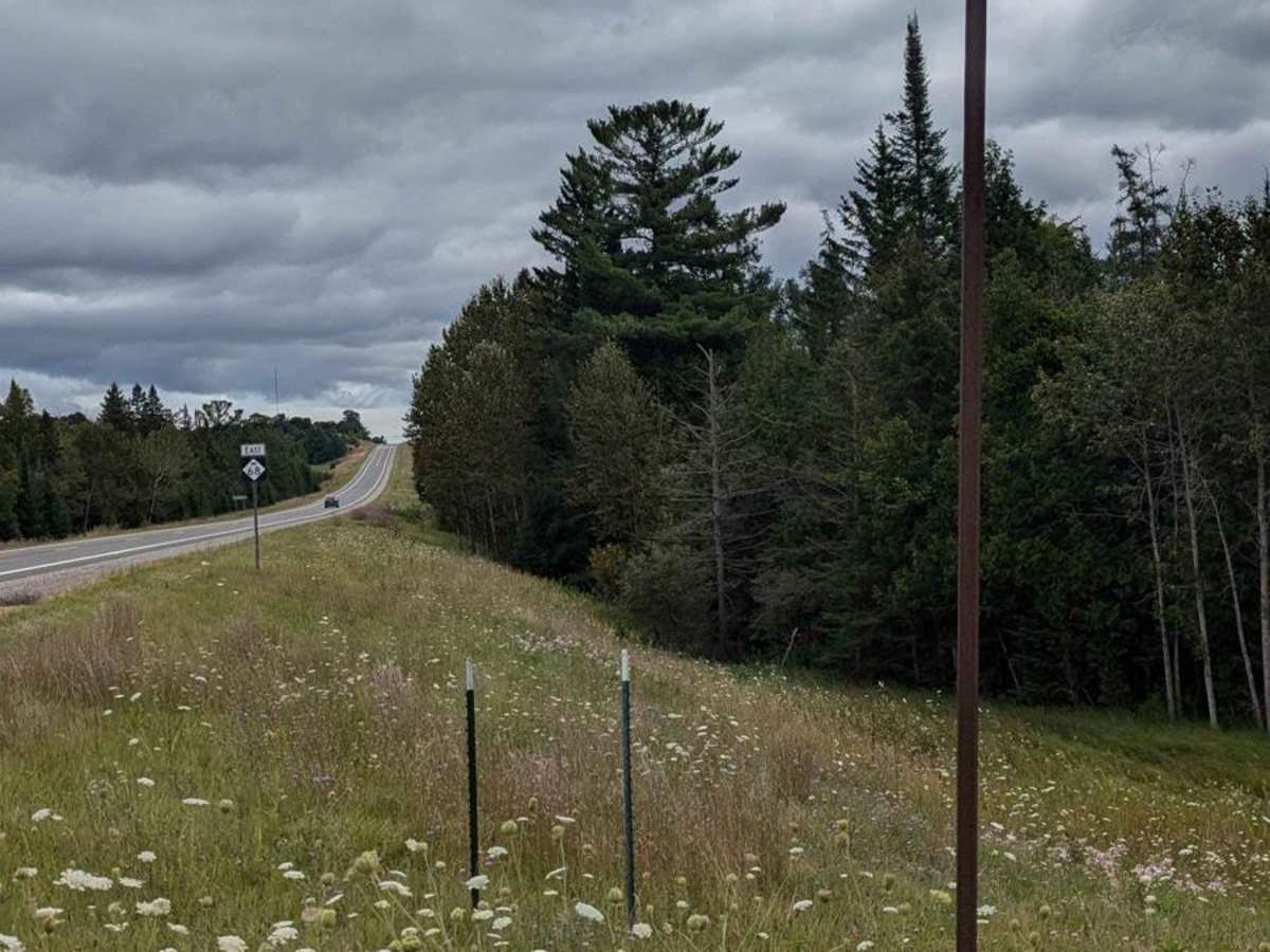 Peltz Road photo 2