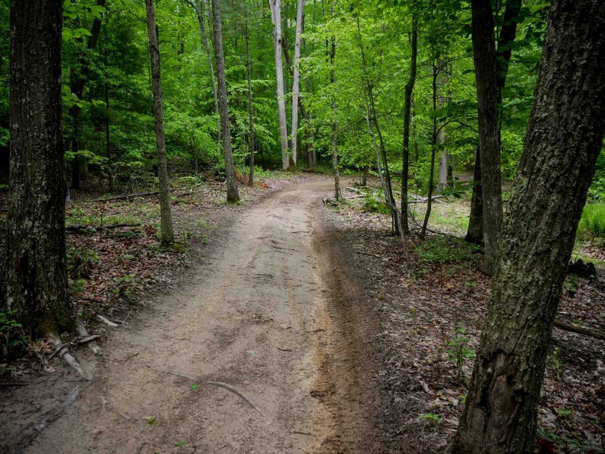 Trail 1 photo 5