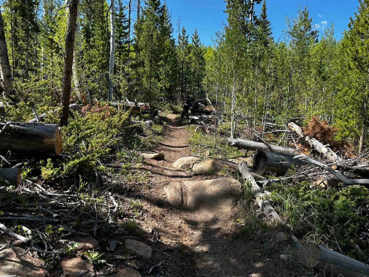 Snyder Creek Loop North Central photo 6
