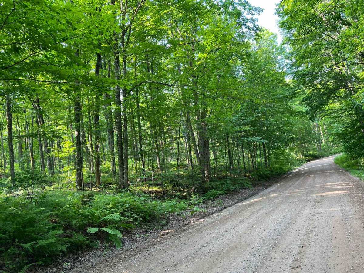 Roberts Lake Road - FS 2144 - Northern Half photo 6