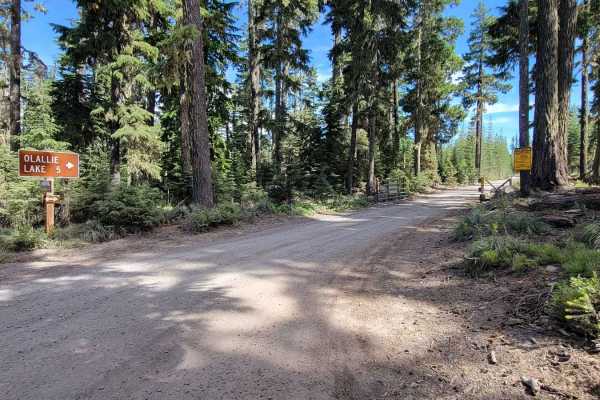 Skyline Road/Olallie Lake - FR 4220