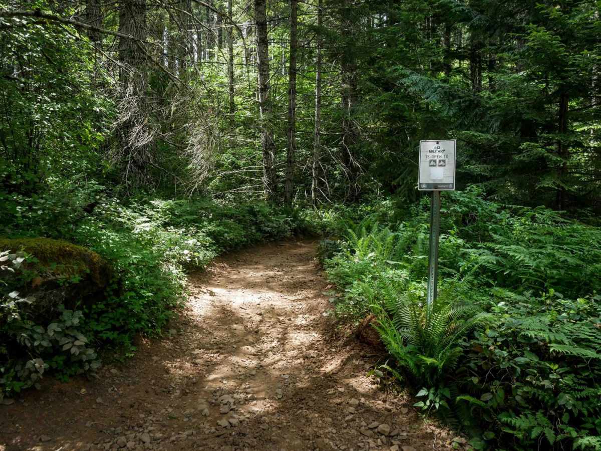 Military #43 trail photo