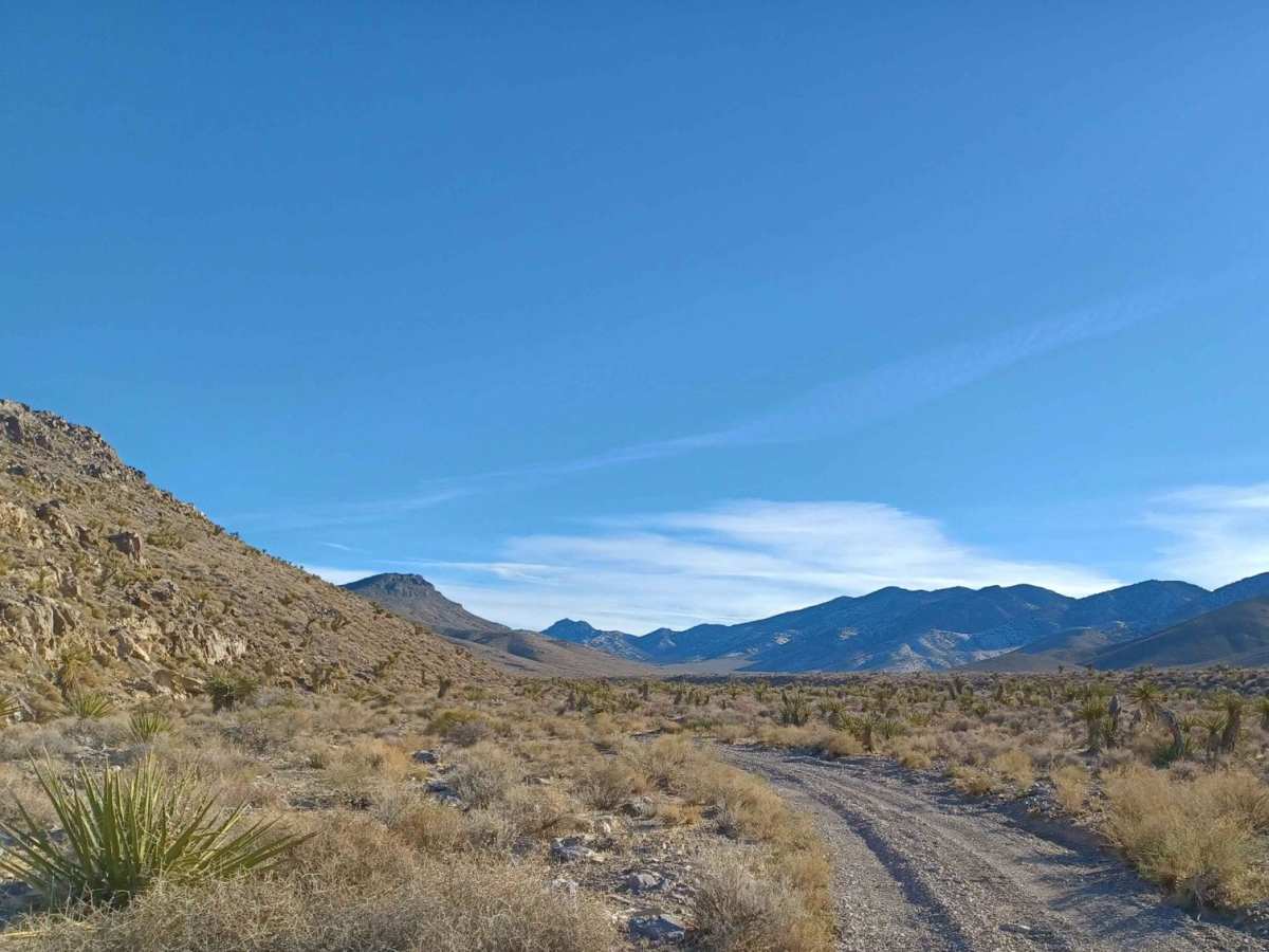 552 Mining Entry Road photo 4