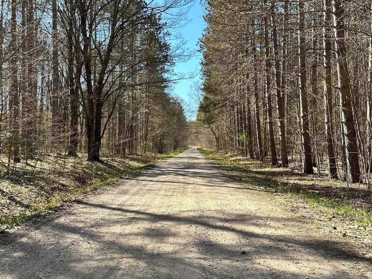 County 40 Road - 5405 trail photo
