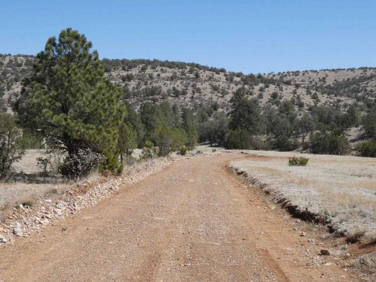 Dog Canyon photo 3