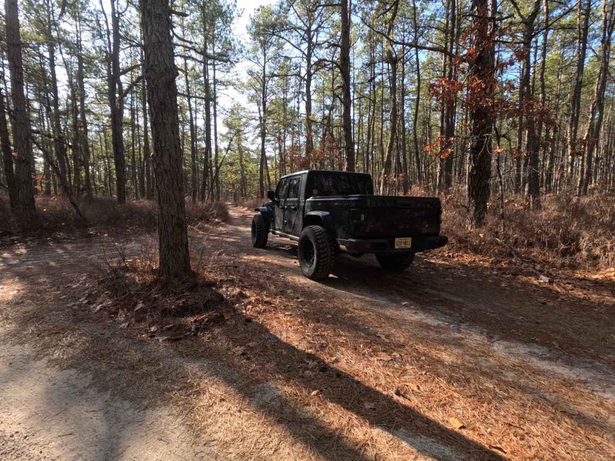 Mines Spung Road trail photo