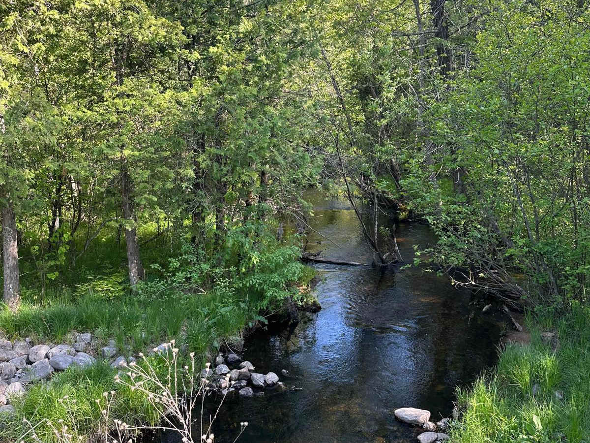 Landis Road photo 6