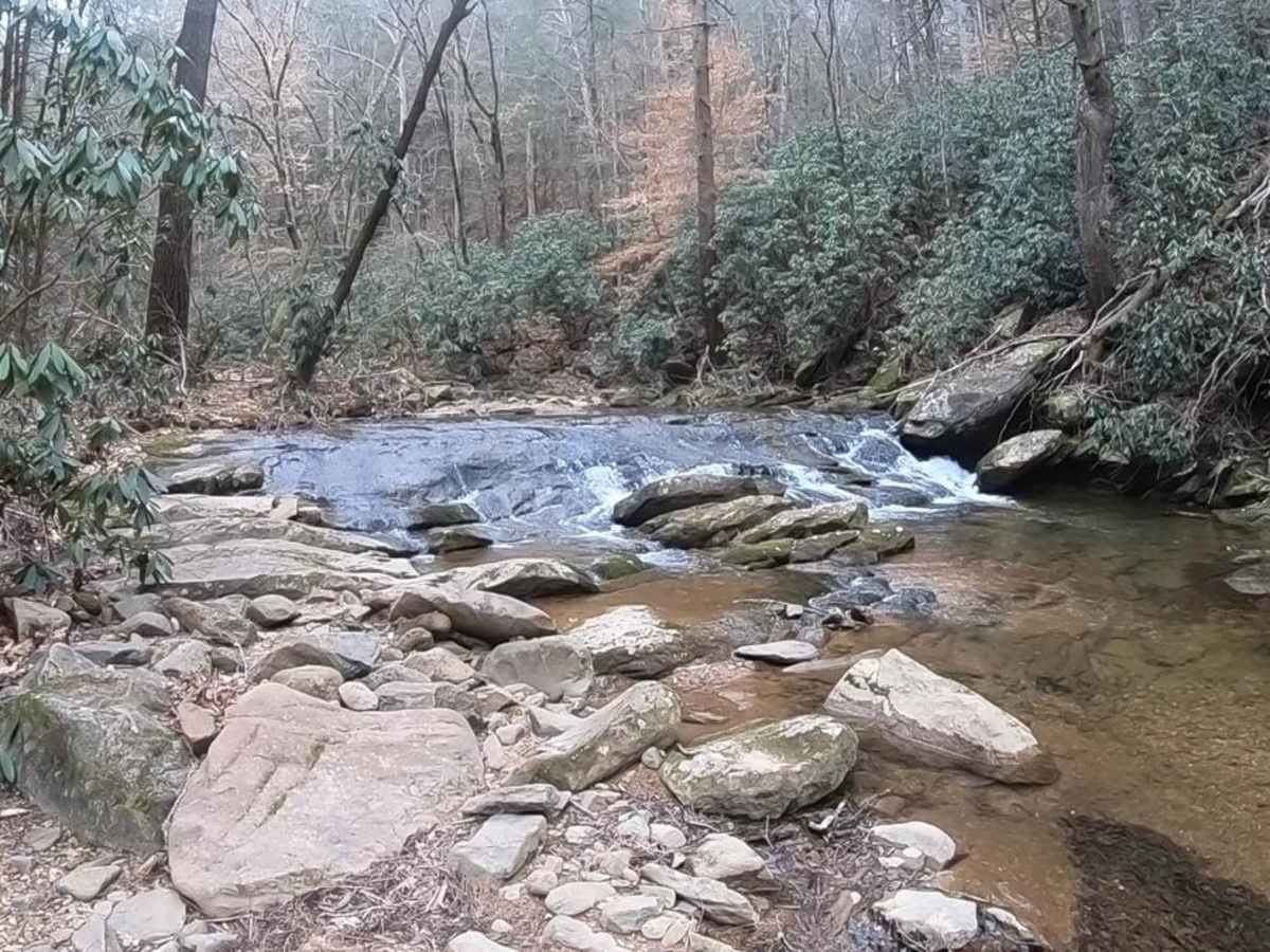 Indian Creek - FSR 302 trail photo