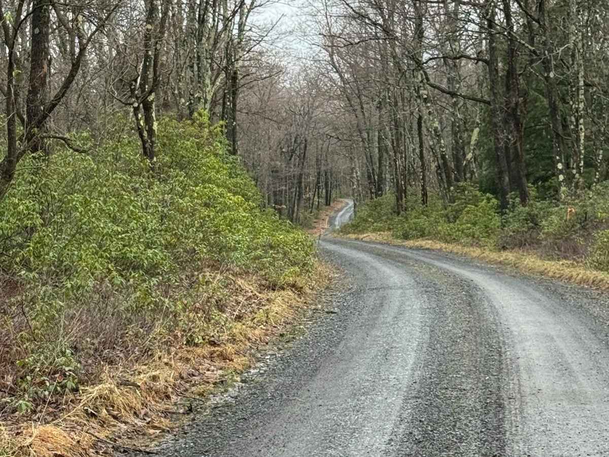Fisher Fire Road photo 5