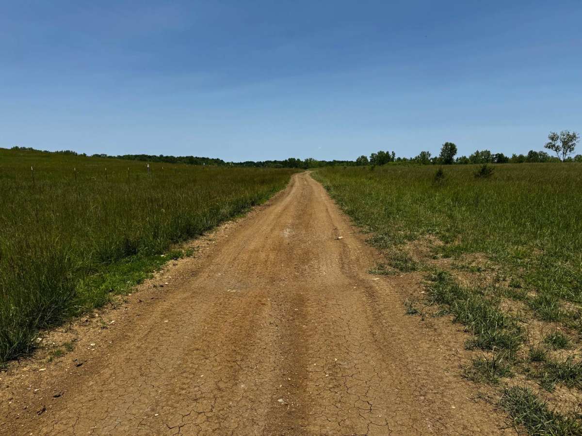 Green 7 Boundary Run photo 4