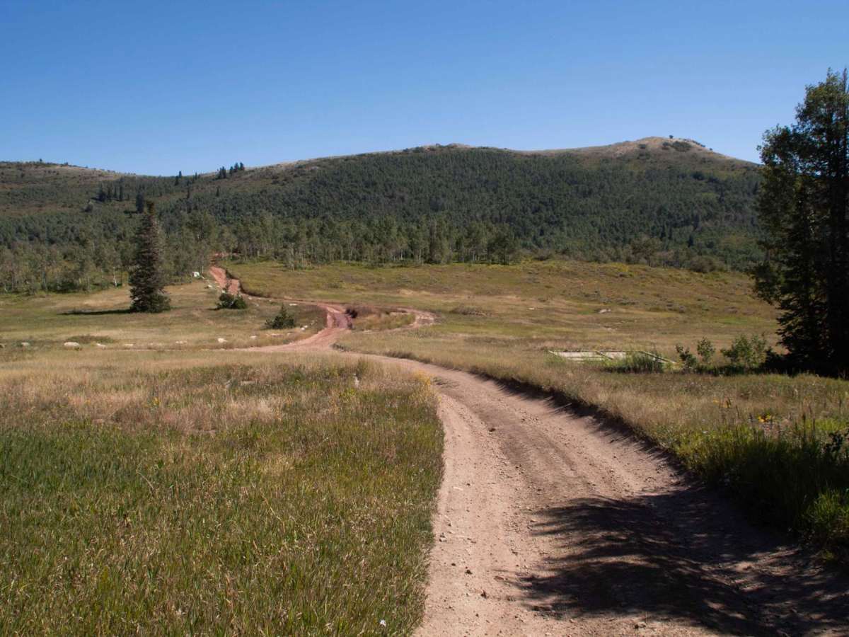 Foundation Loop (FR 80257-A) trail photo