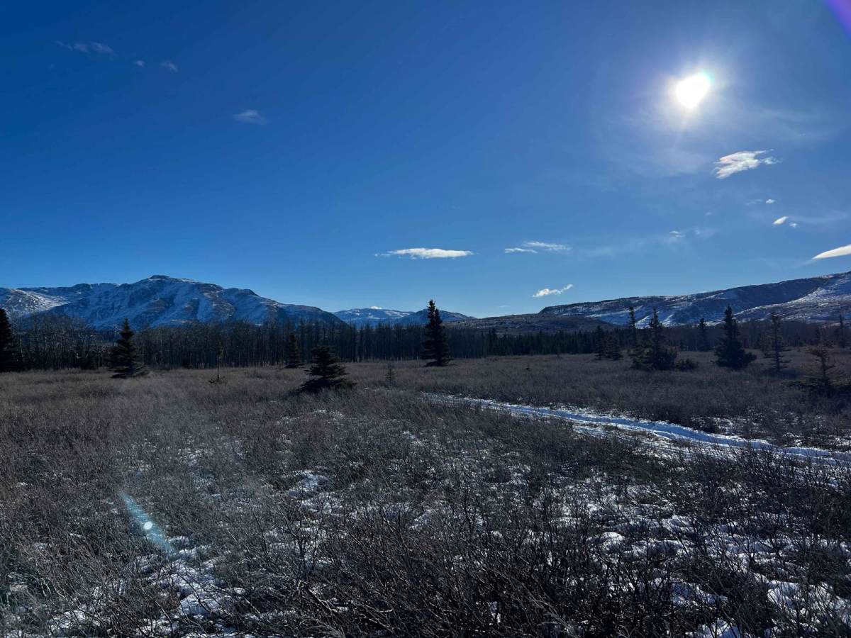 Jarvis Creek Loop photo 6