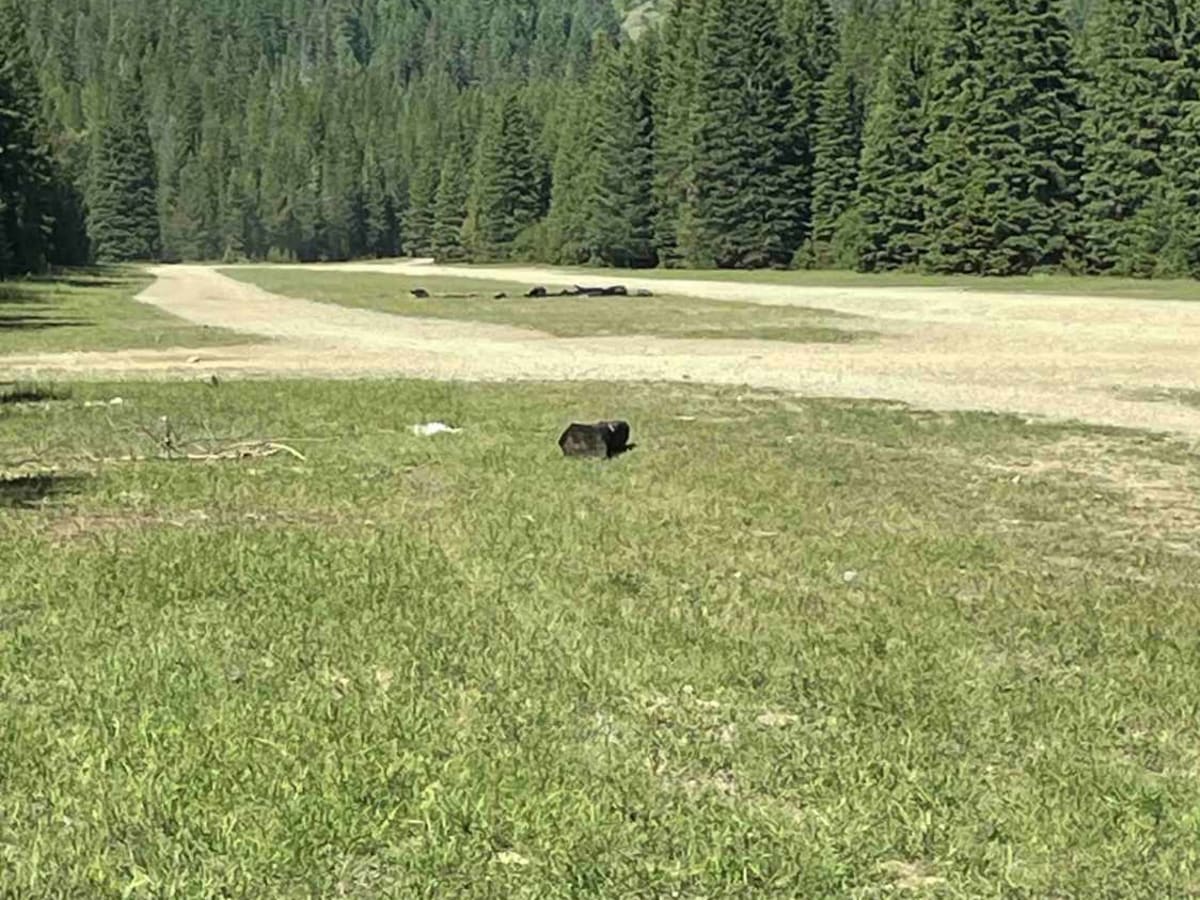 North Chilco Road trail photo