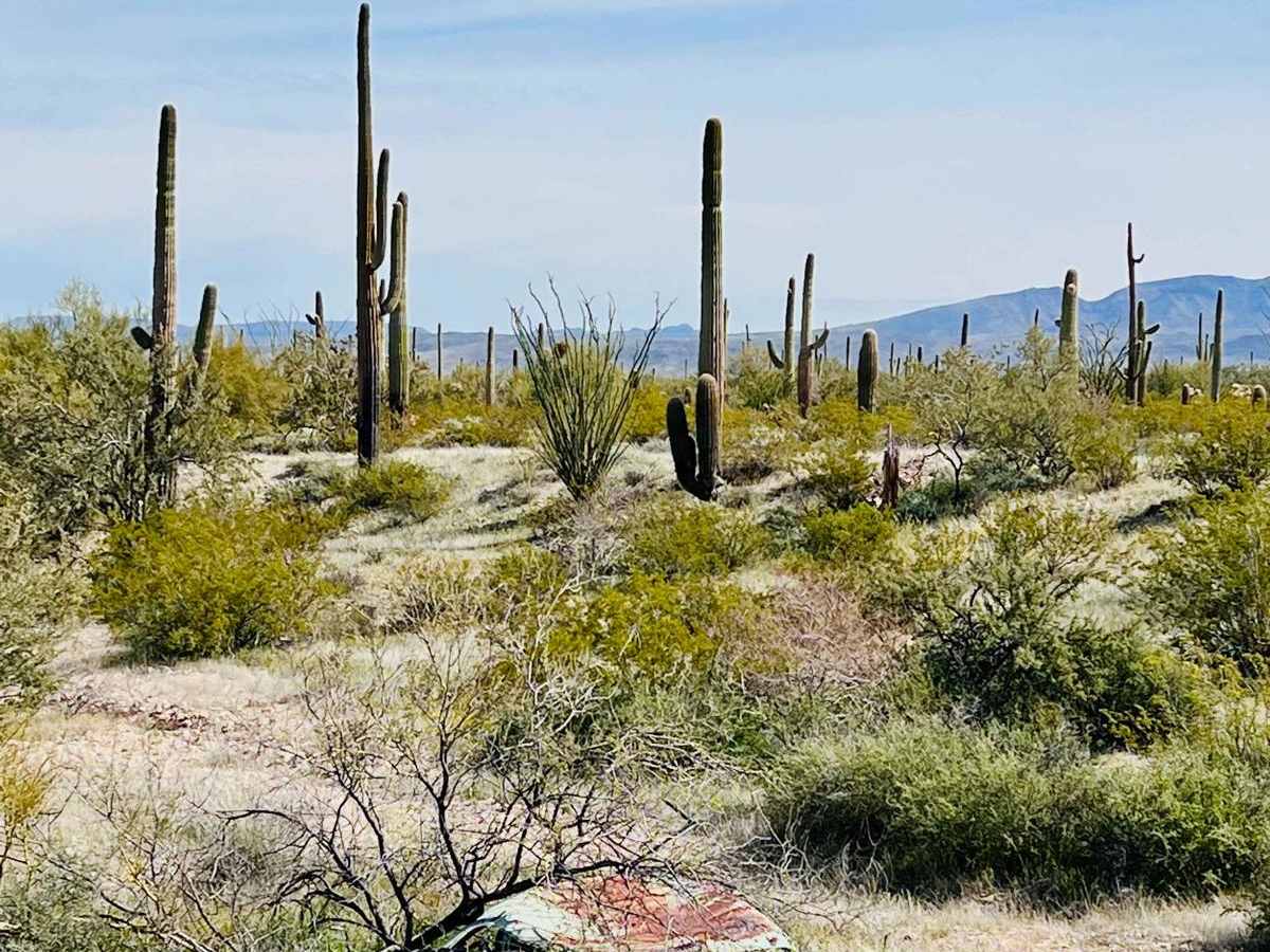 Old Car Wash Ajo trail photo