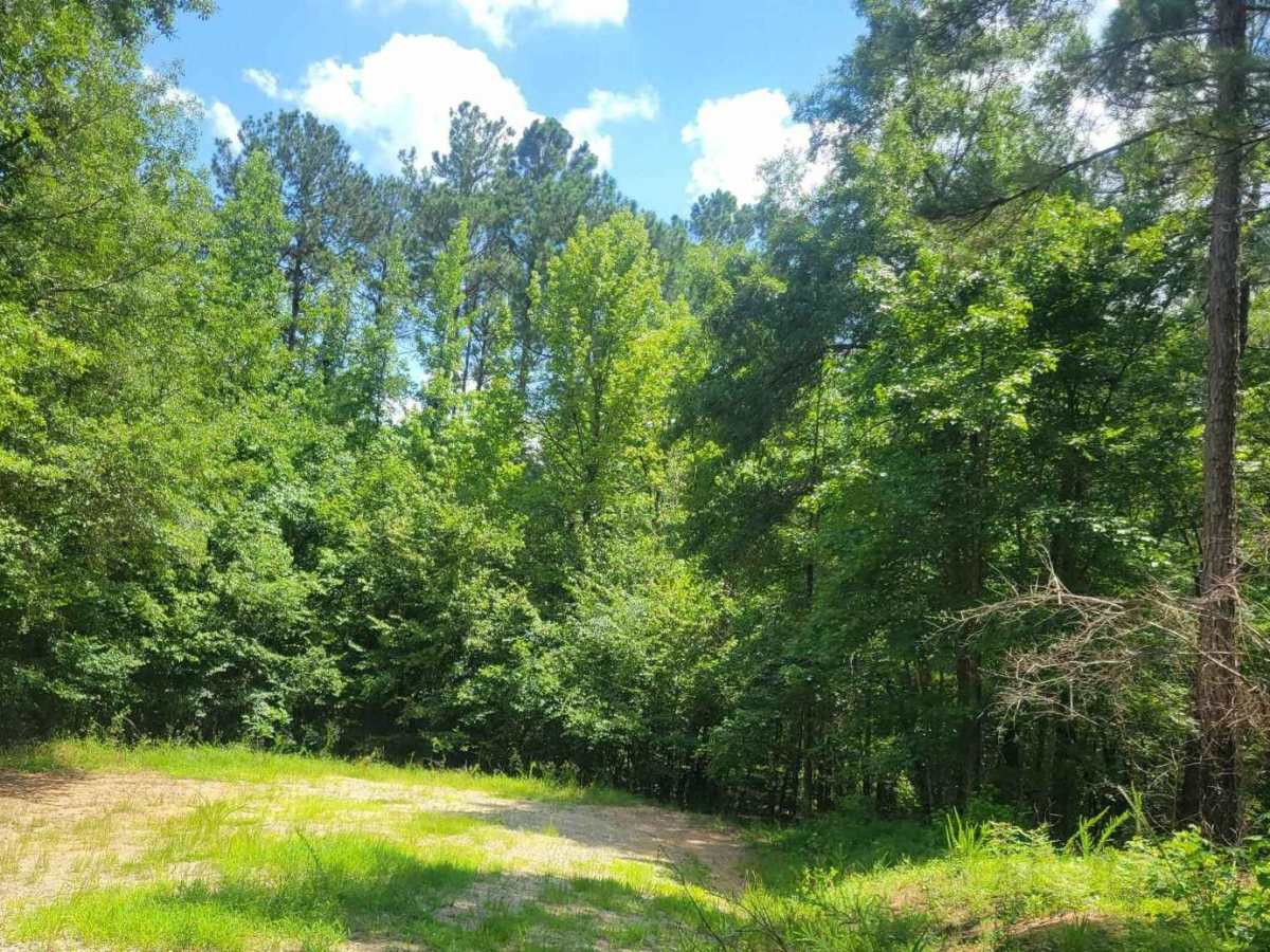 Horn Creek (638) via Prescott Road photo 2