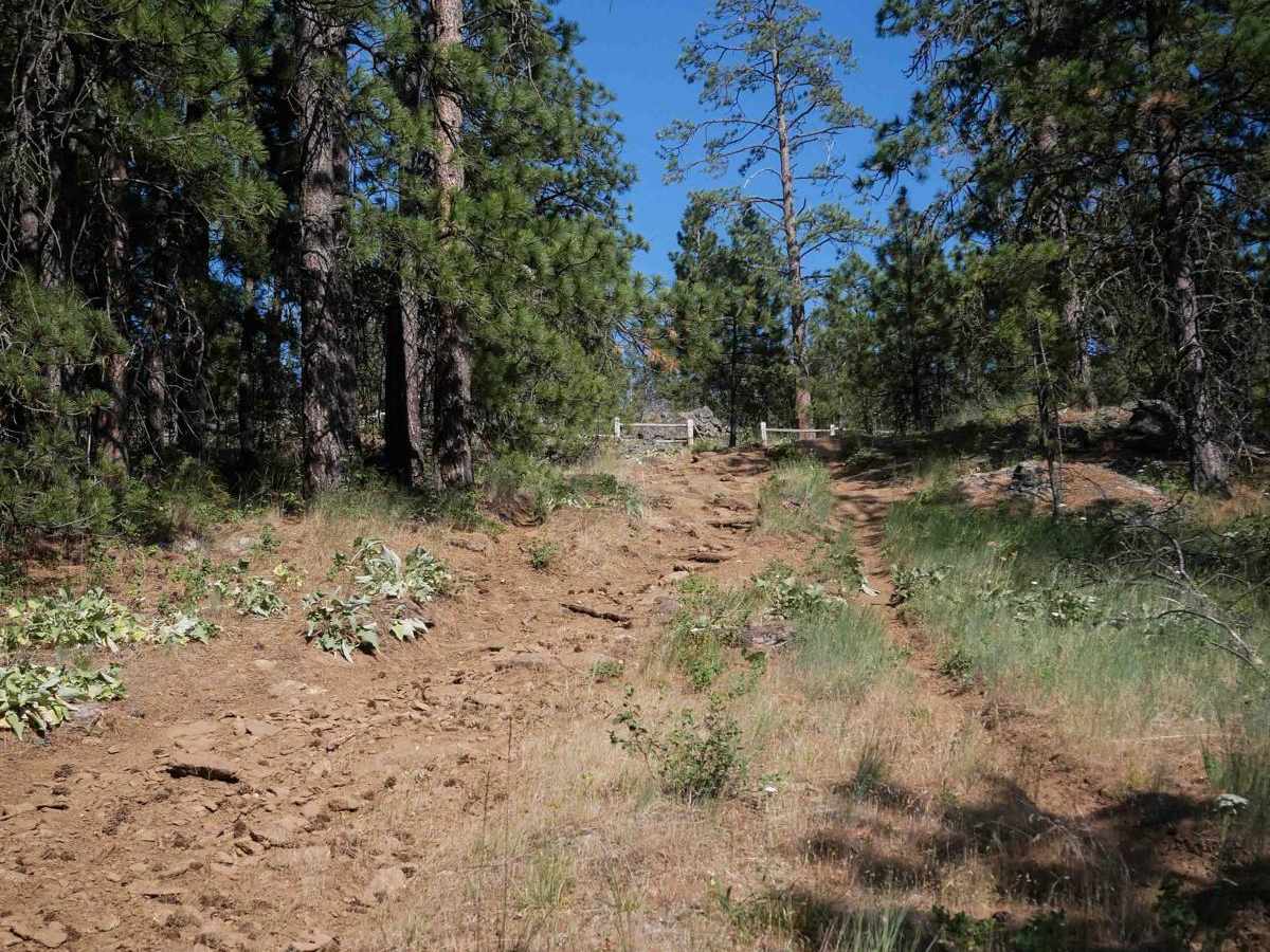 East Boundary (More Difficult) photo 5
