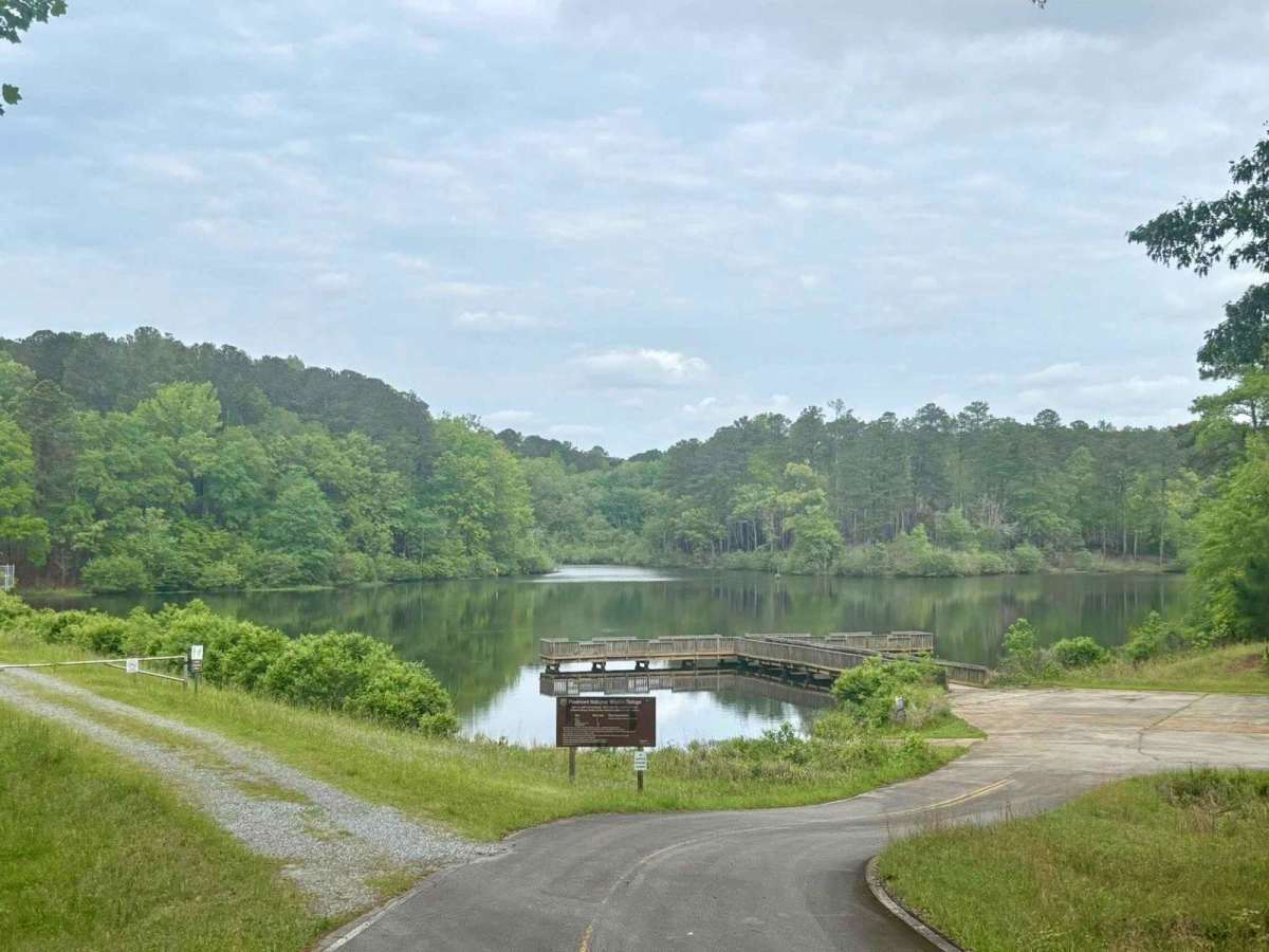 Bridge Out Trail photo 4