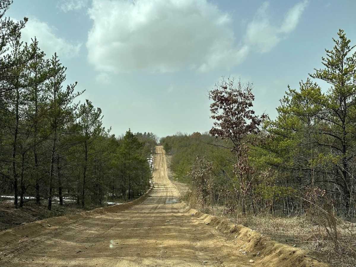 LP 492 photo 3