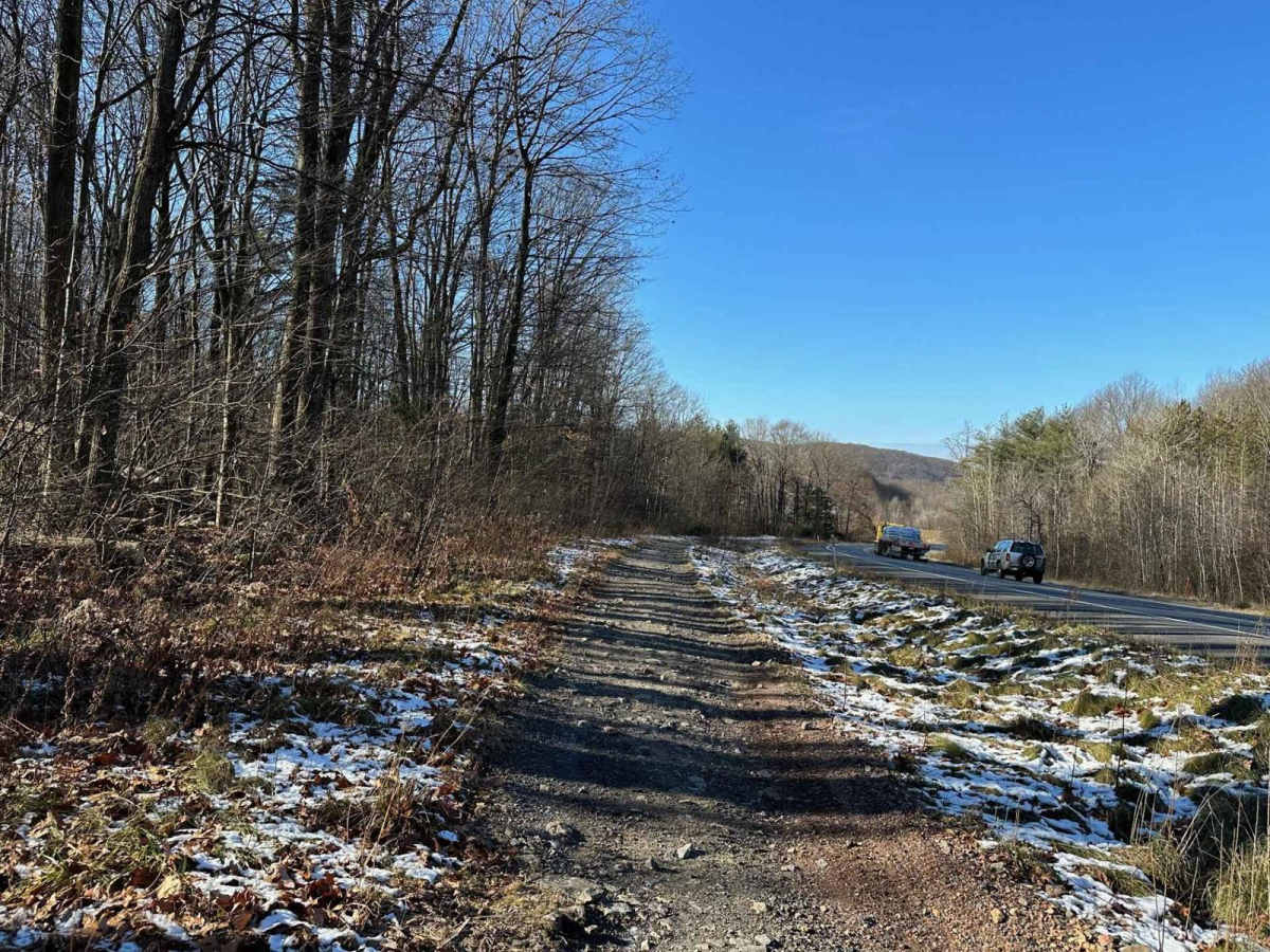 Locust Gap 57 photo 4