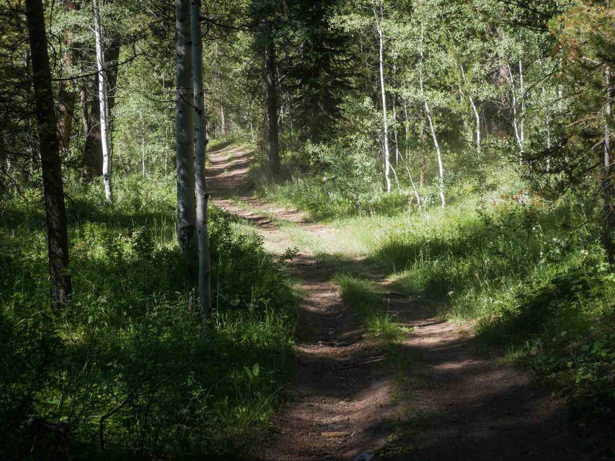 Horseshoe to Harrington #5212  photo 5