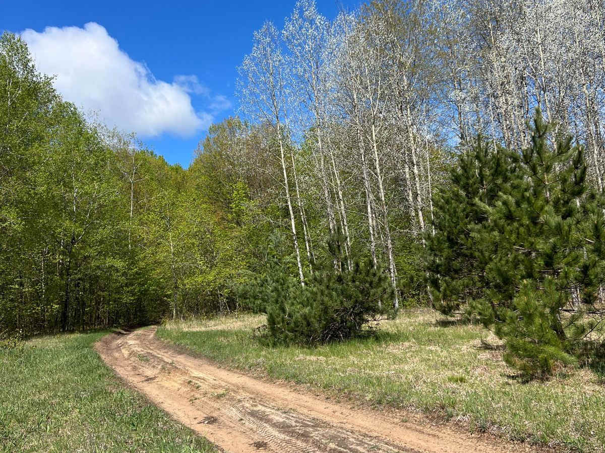 AG Trail photo 3