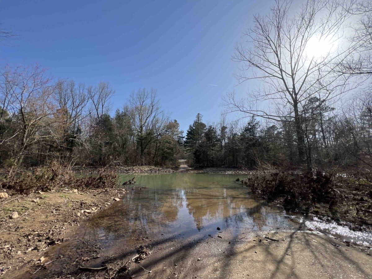 Robertson Creek 163 photo 3