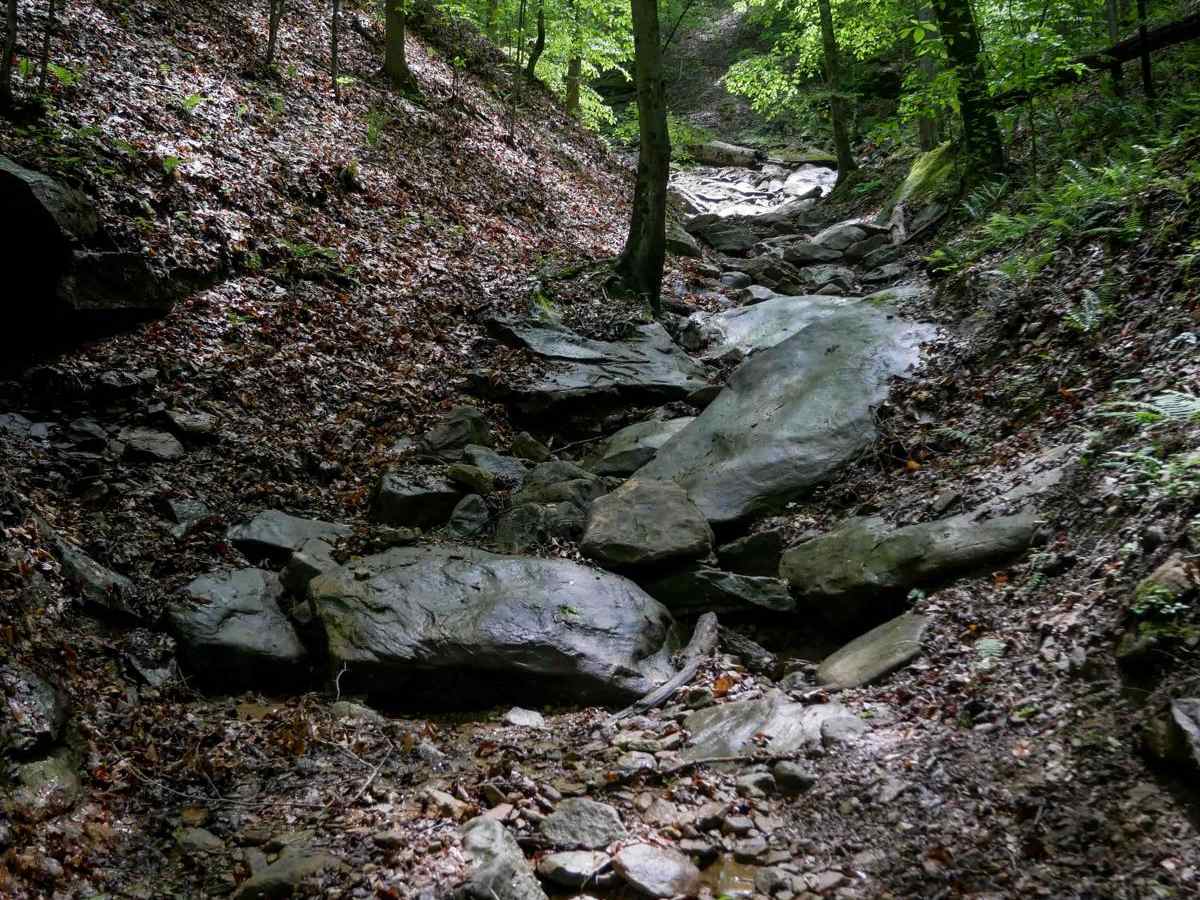 IB 85 trail photo