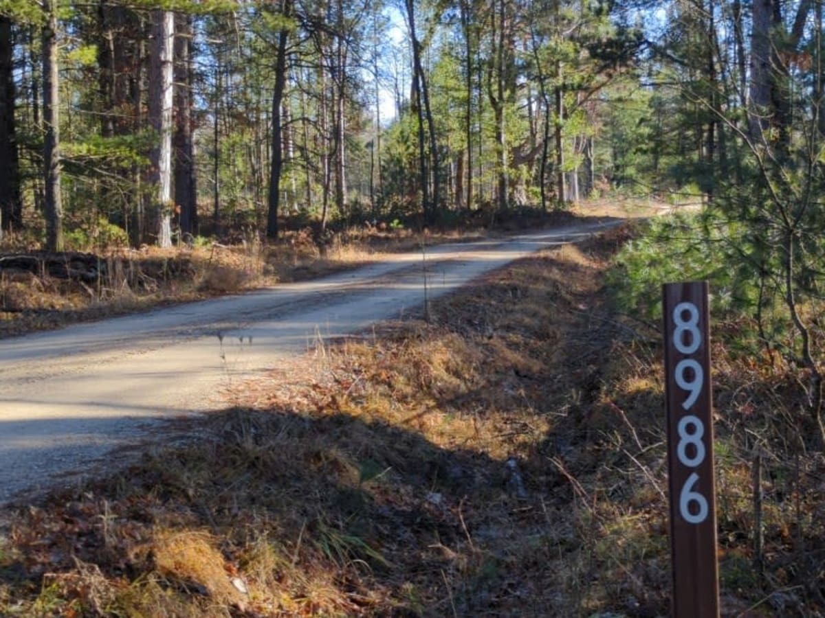 Manistee National Forest Roads 5309-5363 photo 2